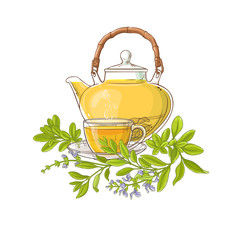 Wall Mural - sage tea illustration