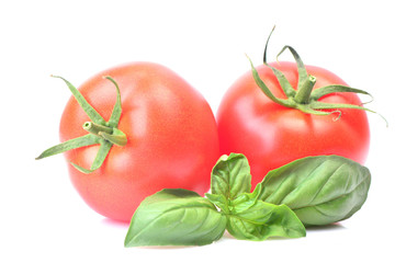 Canvas Print - Tomato and basil