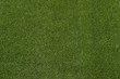© Augustas Cetkauskas - green grass turf floor texture background