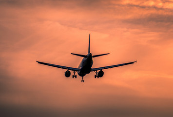 Wall Mural - Airplane landing at sunset