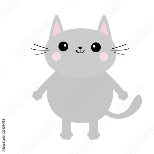 grey animated cat