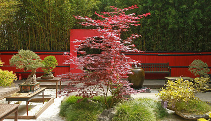 Wall Mural - Jardin japonais
