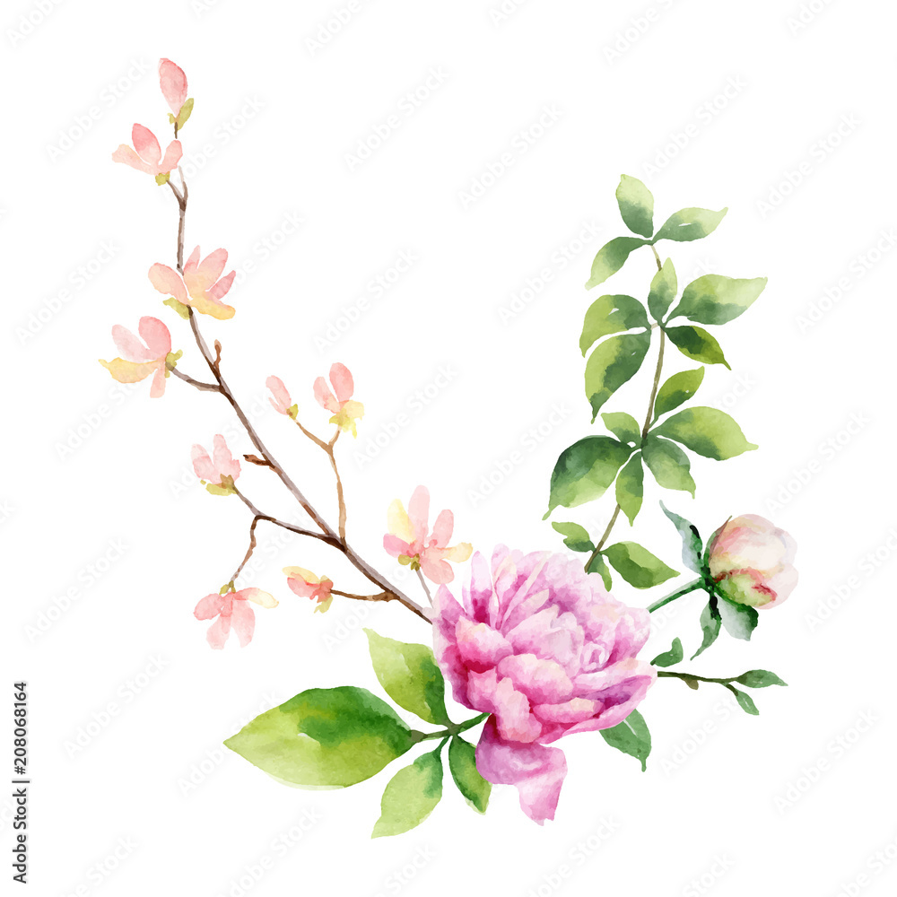 Watercolor vector hand painting illustration of peony flowers and green ...