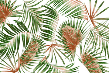  mix green leaves of palm tree on white background