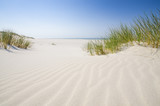 Fototapeta Krajobraz - Dzika bałtycka plaża w Białogórze