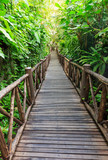 Fototapeta Dziecięca - Wooden walkway through a tropical garden.