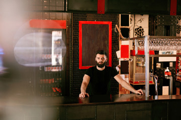 Wall Mural - Bartender In Beer Pub. Portrait Of Man At Bar Counter