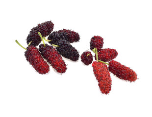 Wall Mural - Mulberry isolated on white background