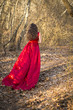 © melissa - Girl in red dress waiting in woods