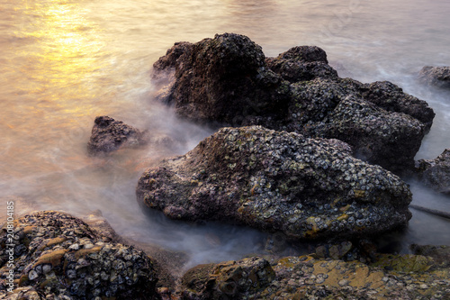 surreal rock with sea shell and smooth long exposure Poster