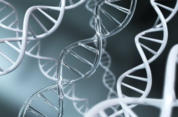 Wall Mural - dna helix for concept of digital genetic engineering and gene manipulation, abstract atom or molecul