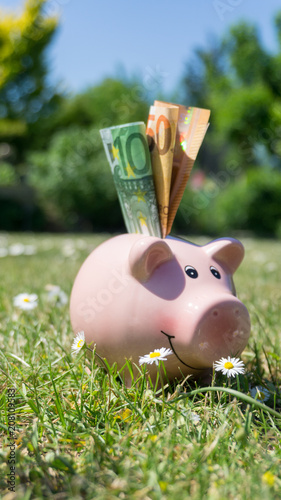Pinkes Sparschein Mit Euro Geldscheinen Im Garten Bei Schonem Wetter Buy This Stock Photo And Explore Similar Images At Adobe Stock Adobe Stock