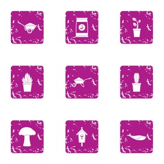 Poster - Country square icons set. Grunge set of 9 country square vector icons for web isolated on white background