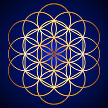 Gold Flower Of Life On Background