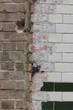 a degraded brick wall