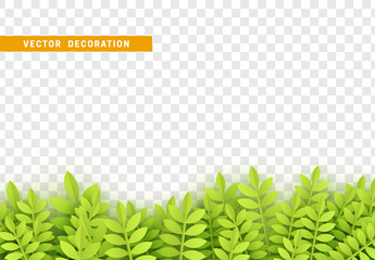 Wall Mural - grass, shape plant leaves border isolated with transparent background. vector illustration