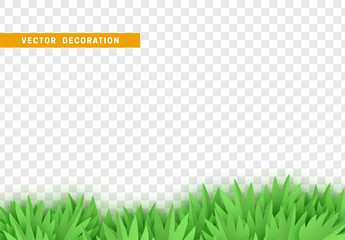Wall Mural - grass, shape plant leaves border isolated with transparent background. vector illustration
