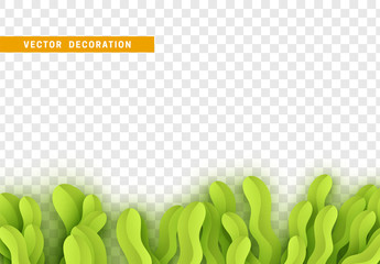 Wall Mural - grass, shape plant leaves border isolated with transparent background. vector illustration
