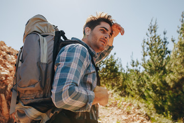 Wall Mural - man exploring nature walking through mountain trails