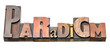 paradigm word abstract in wood type