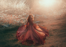 A Brunette Girl With Wavy, Thick Hair Runs To The Sun And Looks Back. The Princess Has A Luxurious, Chiffon, Red Dress That Flutters In The Wind. Background Of A Fiery Sunset And Wild Nature