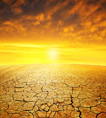 Wall Mural - Dry country with cracked soil at sunset. Global warming concept.