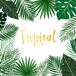 Tropical frame with hand drawn leaves and hand lettering
