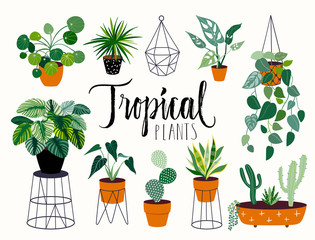 Tropical house plants collection with different elements, isolated on white and hand lettering