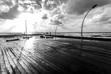 Poster - View of the Tel Aviv Promenade, Israel, black and white image