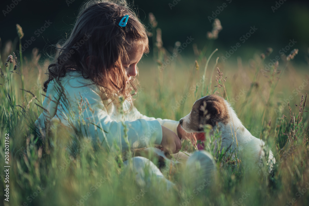Little girl playing with her puppy dog outdoor in the meadow Sharing a ...