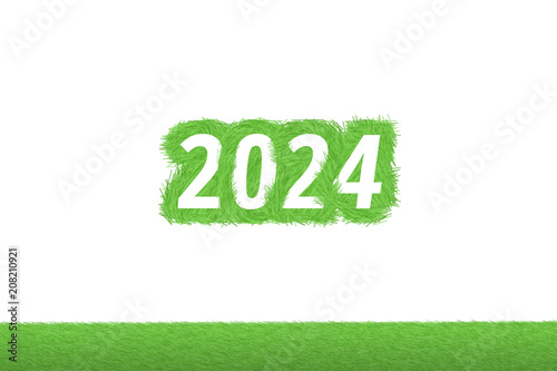 Fotografia "2024" Gras Grüner Text auf weißem Hintergrund