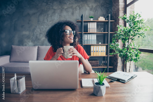 Fotomural Portrait of dreamy lovely accountant sitting at desk in modern office with inter