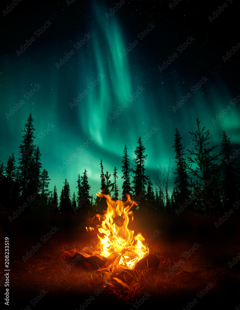 A warm and cosy campfire in the wilderness with forest trees silhouetted in the background and the stars and Northern Lights (Aurora Borealis) lighting up the night sky. Photo composite. - obrazy, fototapety, plakaty 