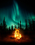 Fototapeta Na sufit - A warm and cosy campfire in the wilderness with forest trees silhouetted in the background and the stars and Northern Lights (Aurora Borealis) lighting up the night sky. Photo composite.