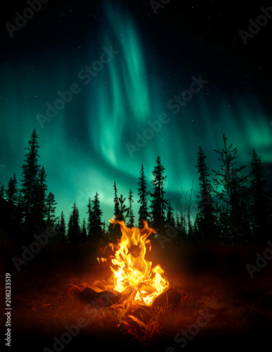 Fotomural A warm and cosy campfire in the wilderness with forest trees silhouetted in the background and the stars and Northern Lights (Aurora Borealis) lighting up the night sky
