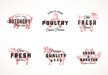 Premium Quality Retro Cattle And Poultry Vector Logo Templates Collection. Hand Drawn Vintage Domestic Animals And Birds Sketches With Classy Typography, Pig, Cow, Chicken, Etc. Isolated Labels Set