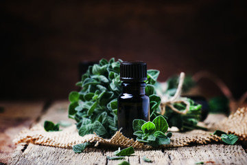 Sticker - Organic essential oregano oil in a glass jar and a bunch of fresh marjoram, vintage wooden background, selective focus