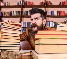 Leinwandbilder - Teacher or student with beard sits at table with glasses, defocused. Mad scientist concept. Man on shouting face between piles of books, while studying in library, bookshelves on background.