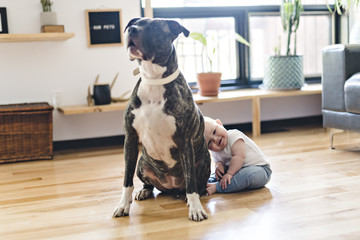 Baby girl sitting with pitbull on the floor