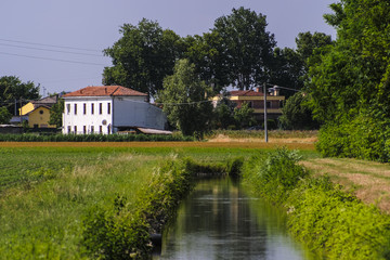 Poster - Rovigo, Italy - June, 1, 2018: farm in Rovigo, Italy