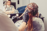 Fototapeta  - Female stylist applying a dye to the clients hair