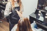 Fototapeta  - Female stylist applying a dye to the clients hair