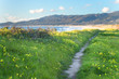 Beautiful scenic path on the green bluff above the ocean beach