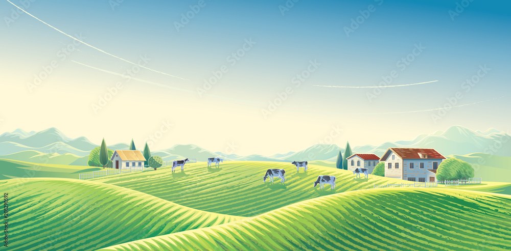 Herd of cows in summer rural landscape at dawn among fields and ...