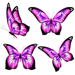 Wall Mural - beautiful pink butterflies, isolated  on a white