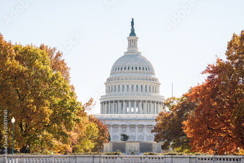 Fotografia, Obraz View of United States Congress Capitol building closeup framed by alley of golde