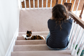 Calico white and ginger cat sitting on carpet stairs inside indoor home hallway lying down by young woman owner back looking down