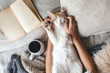 Hygge concept with cat, book and coffee in the bed
