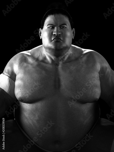 Dekoracja na wymiar  ilustracja-3d-japonskie-sumo
