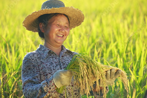 Fotografia happy asian female farmer holding golden rice smile in the rice paddy